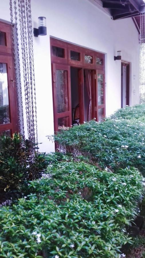 Villa Delorenta Anuradhápura Exteriér fotografie